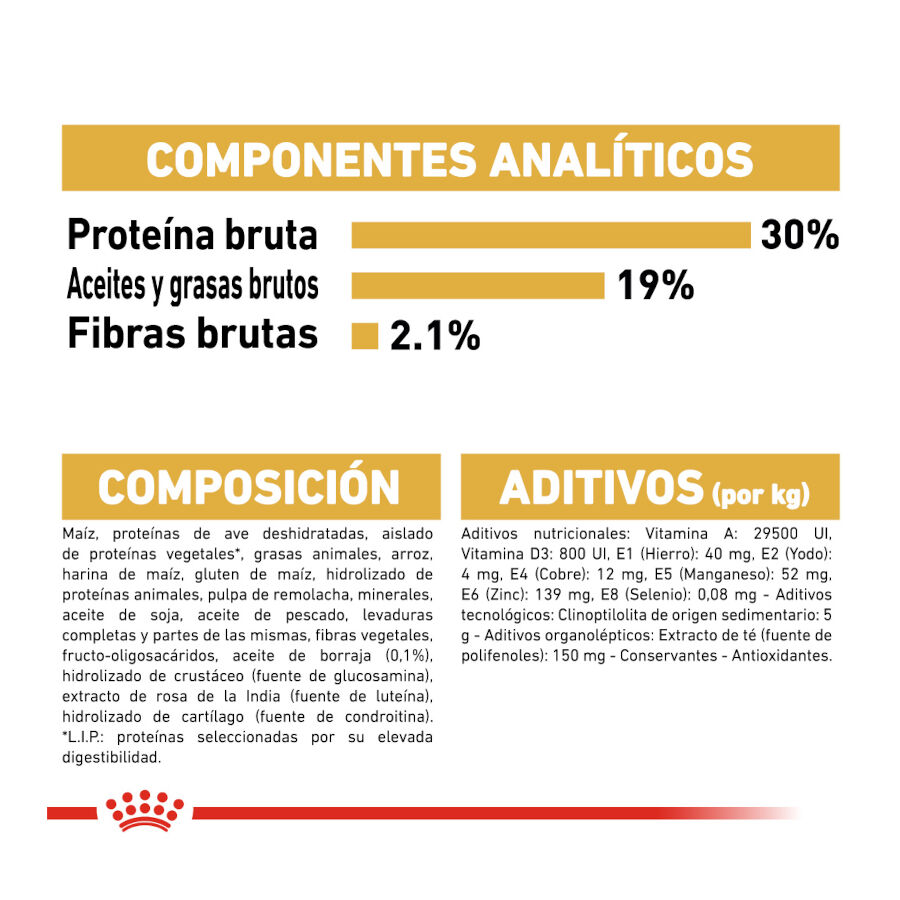 7.5 kg Royal Canin Adult Poodle pienso para perros, , large Imagen numero 7